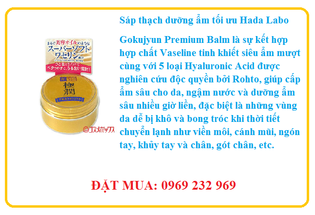 https://bbu.vn/storage/uploads/images/SÁP 1.png